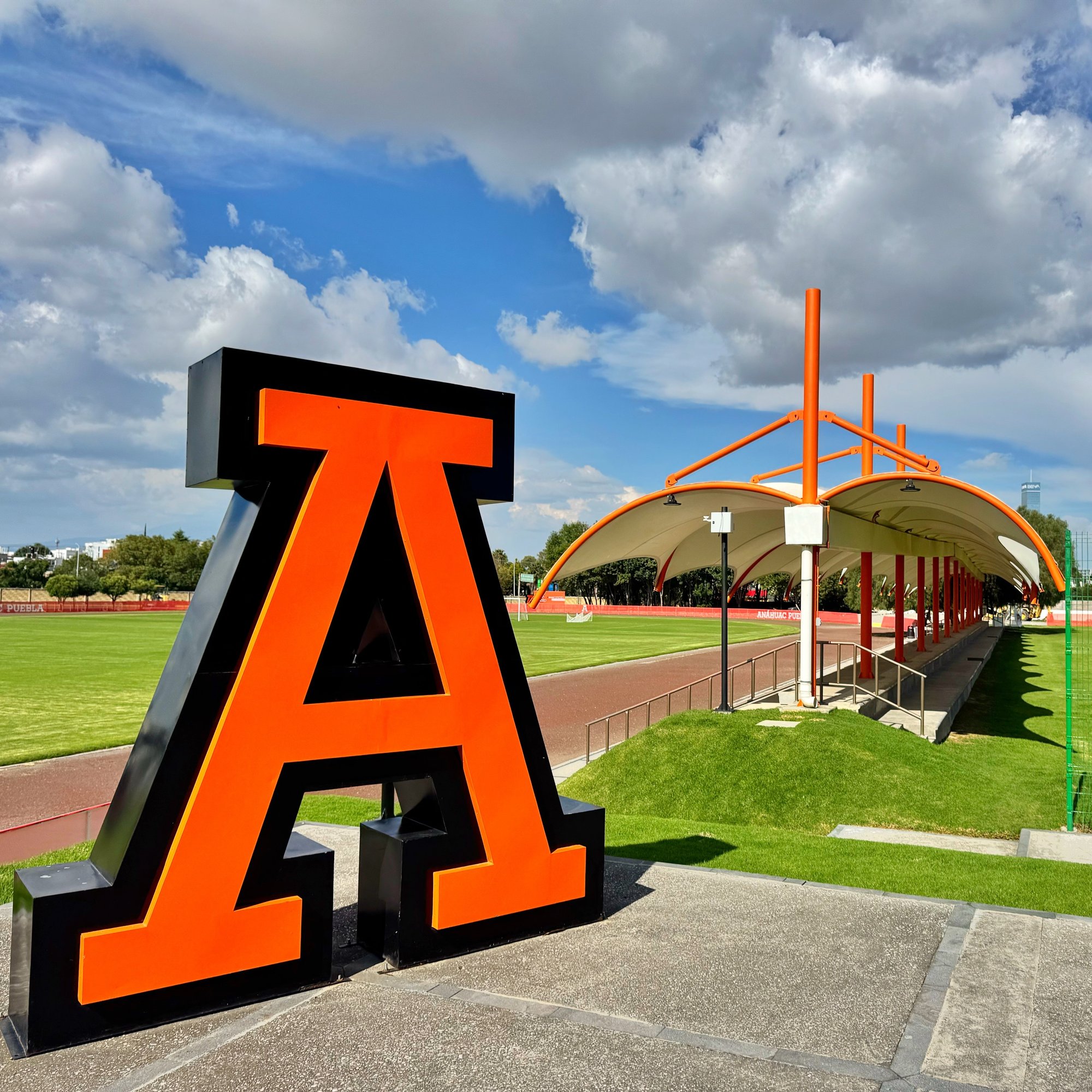 20250810_220030100_iOS