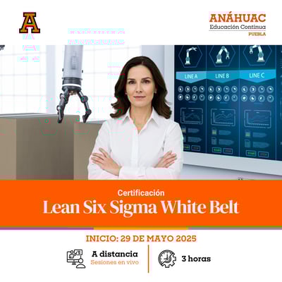 Certificación Lean Six Sigma White Belt - 1080x1080