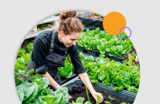 APP-Header-2025-Curso Diseño de Jardines Comestibles