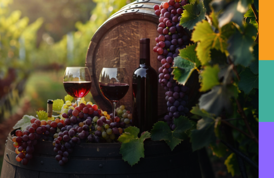 EC-Header-2026-Curso-El Vino, desde la Vid hasta la Copa