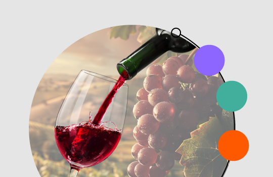 EC-Header-2026-Diplomado-Profesional en Vinos del Mundo