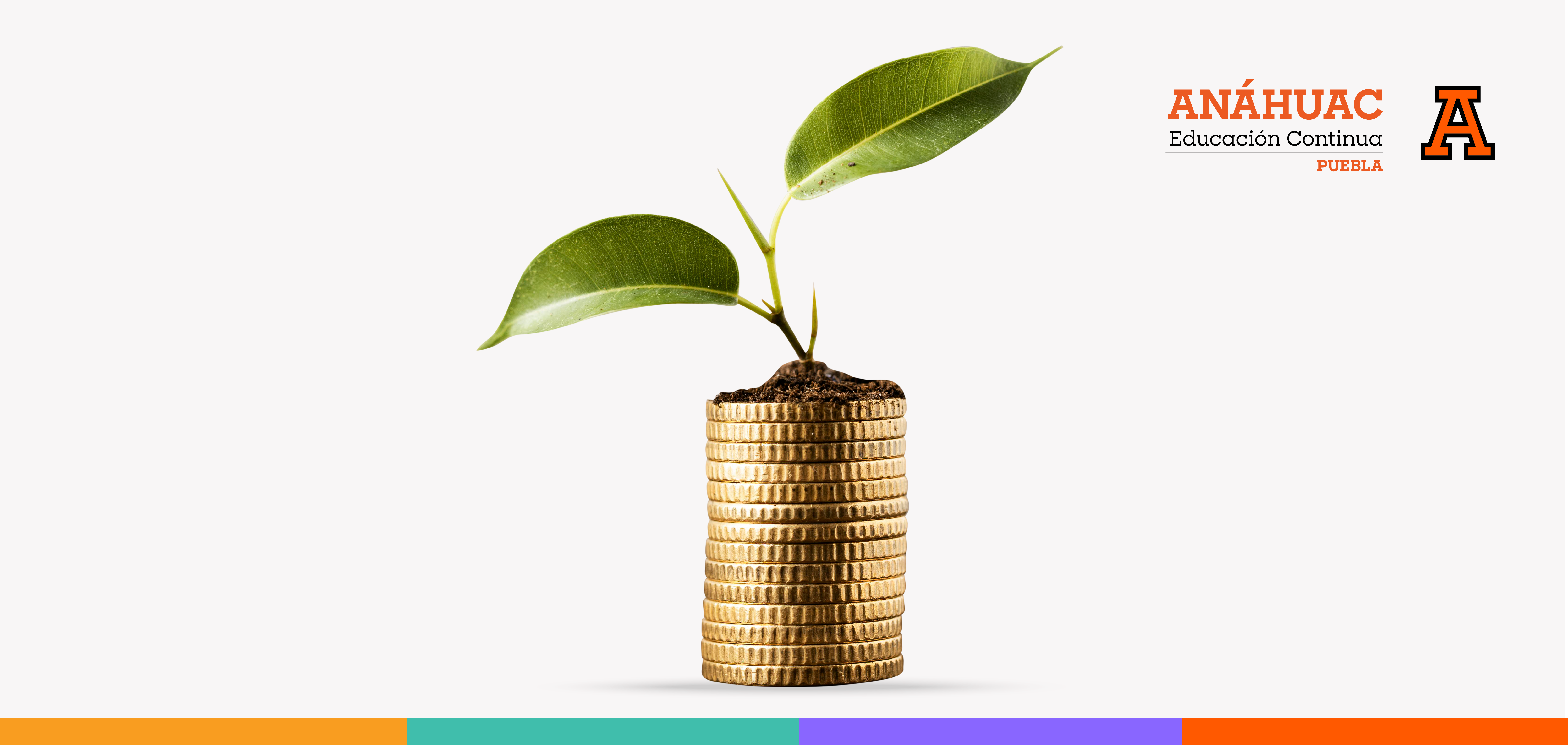 WEBINAR DEL AHORRO A LA INVERSIÓN-06