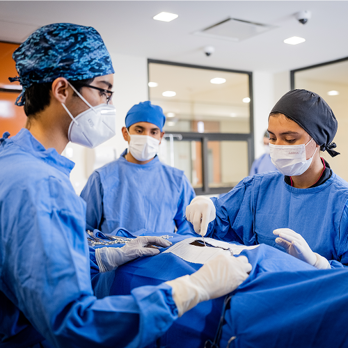 Ciencias de la salud