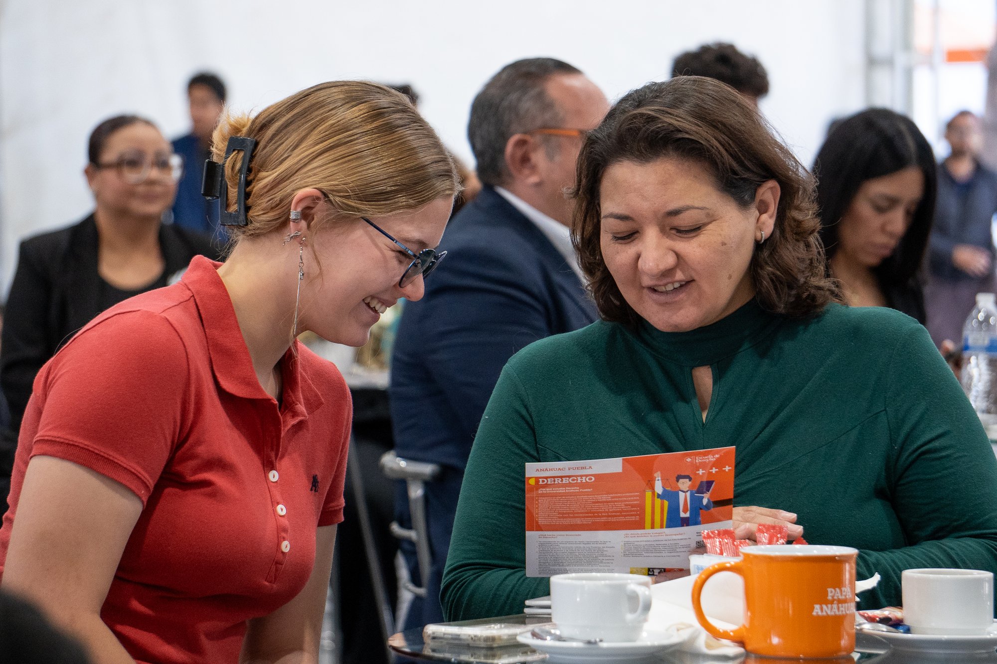 PANEL RECTOR-010 (1)