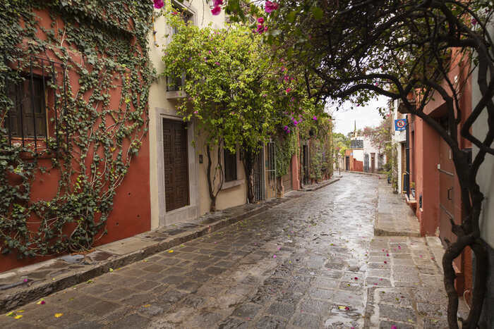 calle en mexico con arquitectura urbana