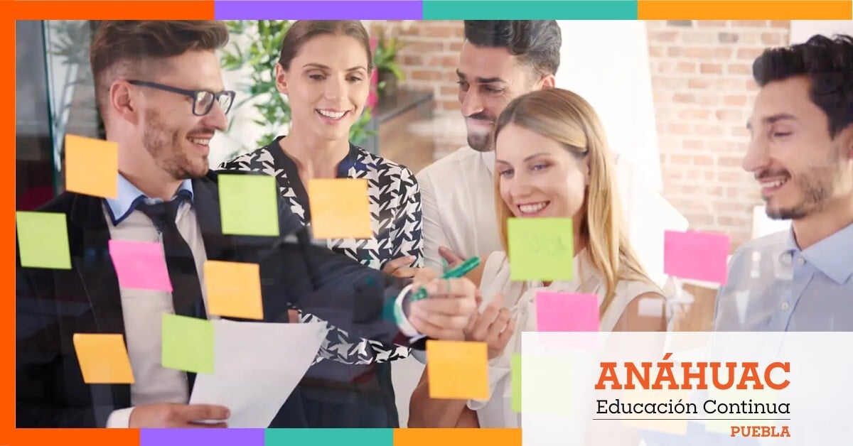 Nine Box Avanzado: De la Evaluación al Desarrollo Estratégico del Talento