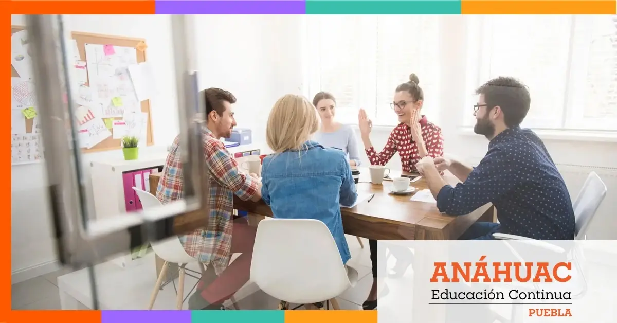 Sin Identidad No Hay Organización