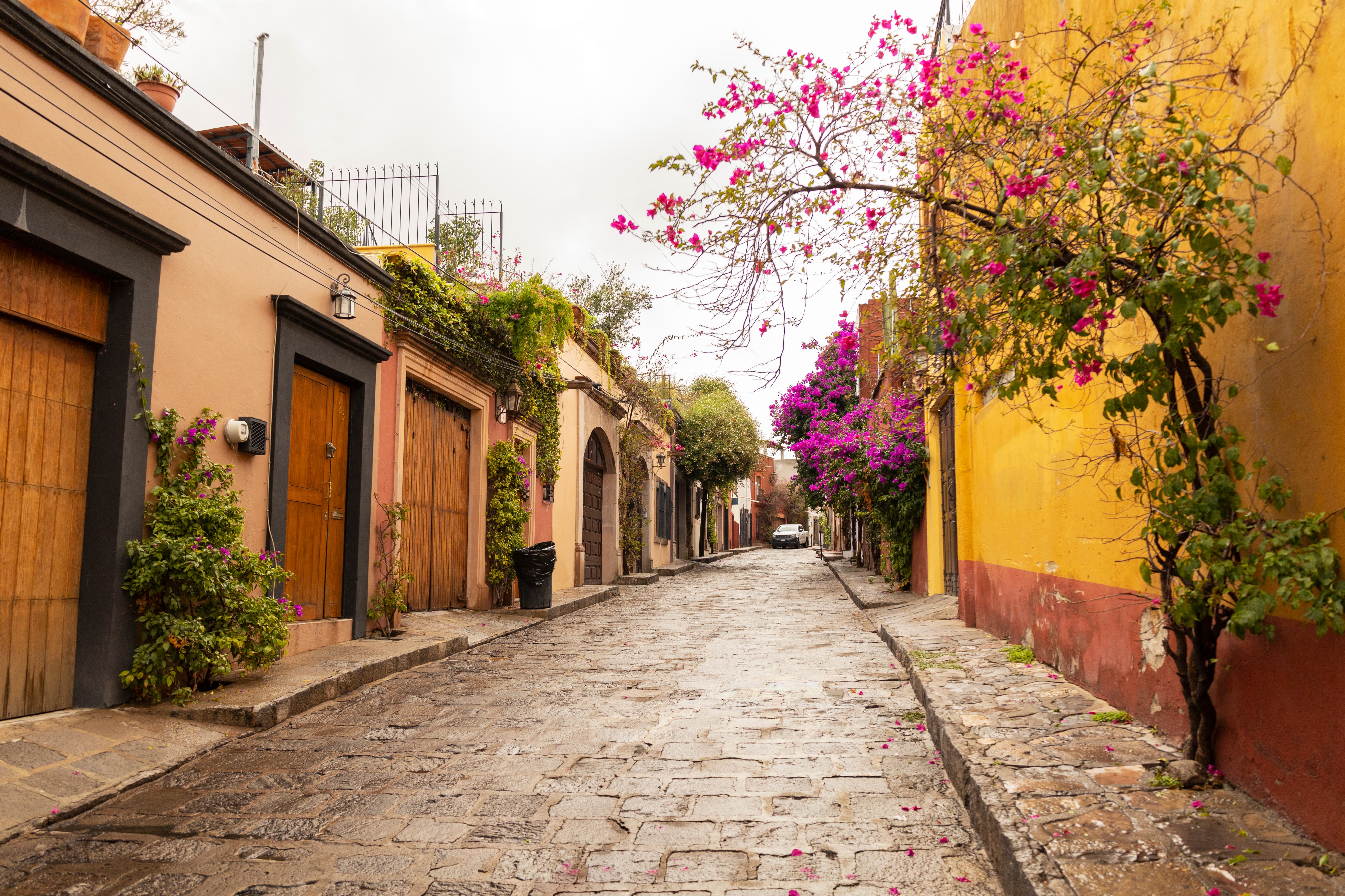 vivir y estudiar en Puebla