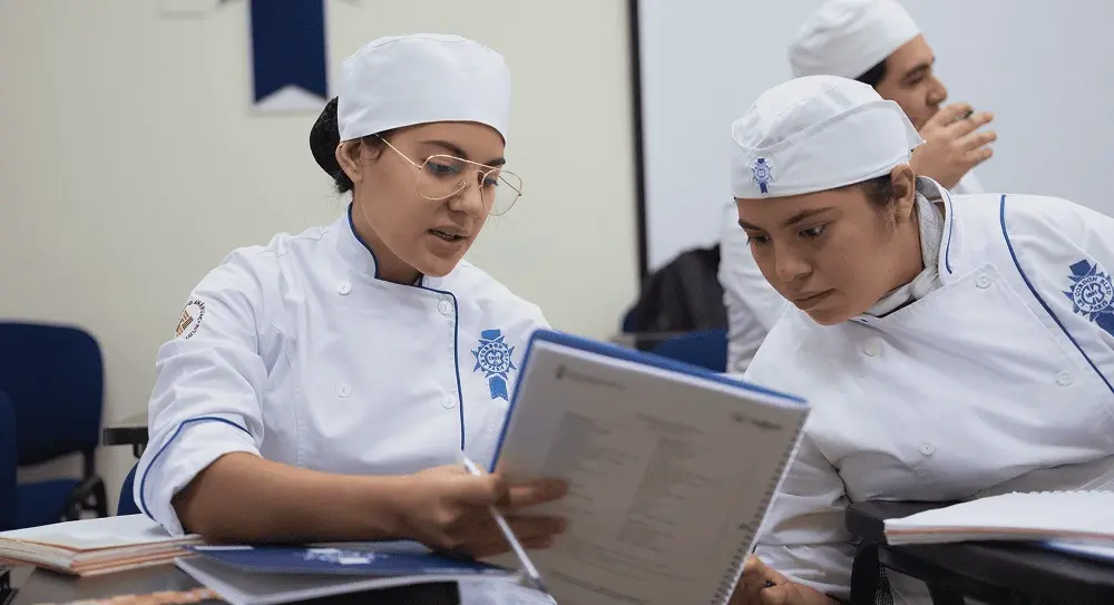 Gastronomia 4