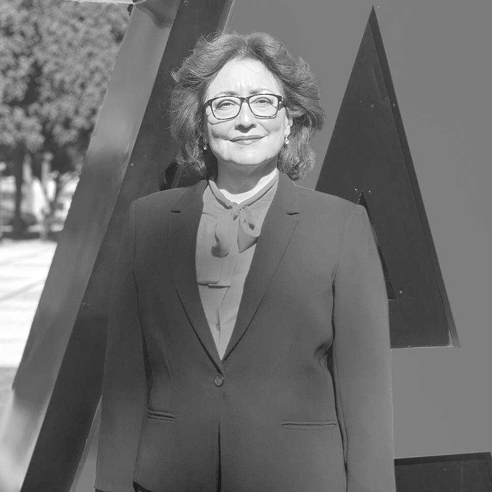 Mtra. María de Lourdes Merlín Delgado
