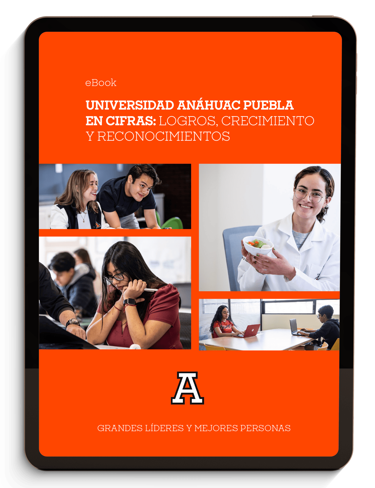 ebook anahuac puebla en cifras